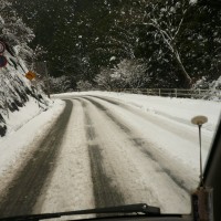 今年最初の雪道(帝釈峡付近) R23