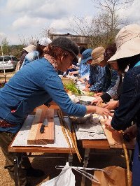 山菜料理