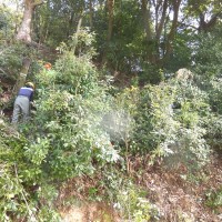 【報告】2015年3月度 地域貢献例会 in 尾長天満宮の杜整備 舞台横整備