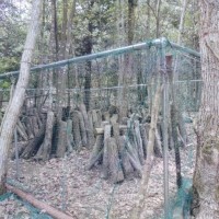 【報告】2015年4月度 里山部会 in 白木小川フィールド 里山