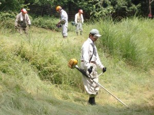 里山　下刈り多数