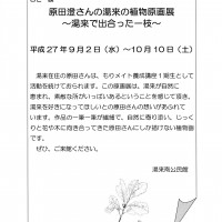 【お知らせ】ひと枝の展示会が開催されます image-0001