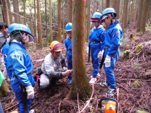 向原小学校　森の中で指導を受ける子供たち