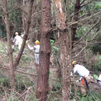 【報告】2015年8月度 例会「測量座学&広島市森林公園整備」 整備5