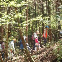 【報告】今年度のもりメイトキッズを終えて。。。 作業場移動3