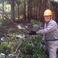 【報告】2015年11月度 地域貢献例会「里山部会合同例会」 枝打ち