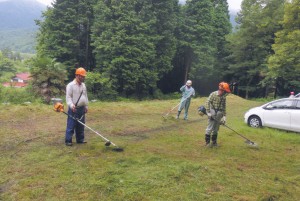 里山部会　草刈り