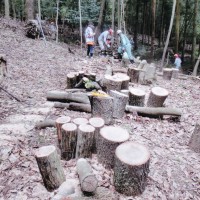 【報告】2016年7月度 里山部会報告 里山