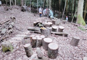 里山