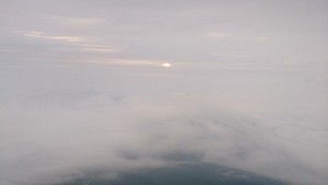 IMG_3313