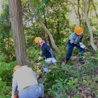 【報告】2017年5月度 地域貢献例 ~黄金山山頂桜満開作戦~ 例会2