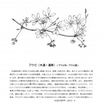 2019年5月今月のひと枝 今月のひと枝