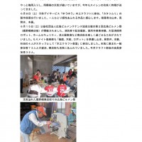 クラフト部会 2019年6月活動報告 クラフト部会 2019年6月活動報告