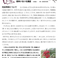 2020年12月 樹木いきいき講座<その6>「剪定時期」 いきいき講座6剪定時期