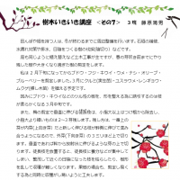 2021年2月 樹木いきいき講座<その7>「剪定」 いきいき講座7剪定