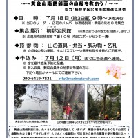 2021年7月例会案内「黄金山桜救出大作戦」 202107-02例会案内
