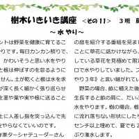 2021年8月 樹木いきいき講座<その11>「水やり」 2021年8月いきいき樹木