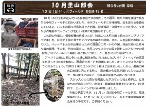 もりの手紙2021年11月号-里山