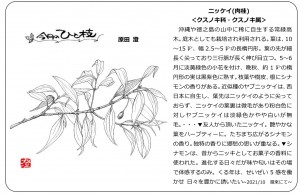 ひと枝12月