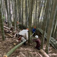 2月例会~爽やかな風が吹き抜ける竹林を目指して~「楠那ふれあい樹林」竹林整備 2023-02-26 016例会写真