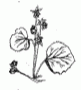 ӂ䂢@w@~䕁@x