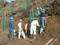 午後からの作業、残りの鹿よけネット設置