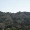 神乃倉山公園 kannokura