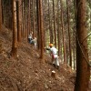 第2回出前間伐 in 湯来町和田地区 yuki