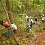 まずは、間伐作業から。 基本的な作業の説明の後、３箇所に分かれて作業開始 　ちょっと、まがっとるかな～。 エ～。真直ぐのつもりだけど。 こっちから見てみーや