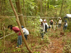 まずは、間伐作業から。 基本的な作業の説明の後、３箇所に分かれて作業開始 　ちょっと、まがっとるかな～。 エ～。真直ぐのつもりだけど。 こっちから見てみーや