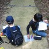 2007年度 第一回『どんぐり塾』に参加 木の葉っぱをよーく観察中