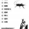 季節を漢字る検定 -秋の虫編- kama