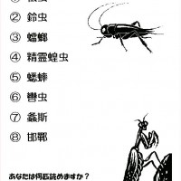 季節を漢字る検定 -秋の虫編- kama