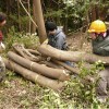 2012/2 例会 mitaki