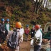 11月度 里山部会 報告 201311satoyama