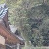 2014.3.30 尾長天満宮でご神木を伐採 ○例会3月