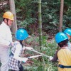 2014.6.1 第2回もりメイトキッズ まずは手のこで竹を伐採