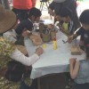 2014.5.3~5.5 フラワーフェスティバルに出展 フラワーフェスティバル
