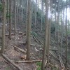 20141019_3