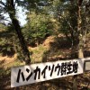 【報告】2014年9月度例会 in 神の倉山 ハンカイソウ看板