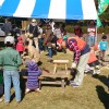 DSC_0004[1]