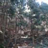 【報告】2015年3月度 間伐部会 in 湯来 間伐完了2