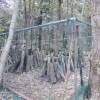 【報告】2015年4月度 里山部会 in 白木小川フィールド 里山