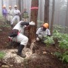 【報告】2015年7月度 出前間伐部会 in 湯来町 追い口