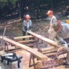 【報告】2015年8月度 里山部会 in 白木小川フィールド 里山部会