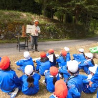 【報告】太田川流域学校間交流事業 今年は趣向を変えて実施! 向原小学校 木の切り方①鎌田さん