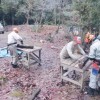 【報告】2016年2月度 里山部会 里山