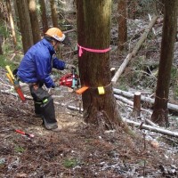 【報告】2月度 出前間伐部会 in 湯来町多田地区 間伐部会