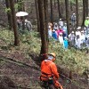 【報告】太田川源流の森 保全活動における間伐指導に参加して 000ACC1729C64272947E9CC46ABA5407