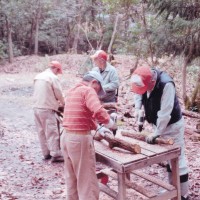 【報告】2017年4月 里山部会報告 in 小川フィールド 里山